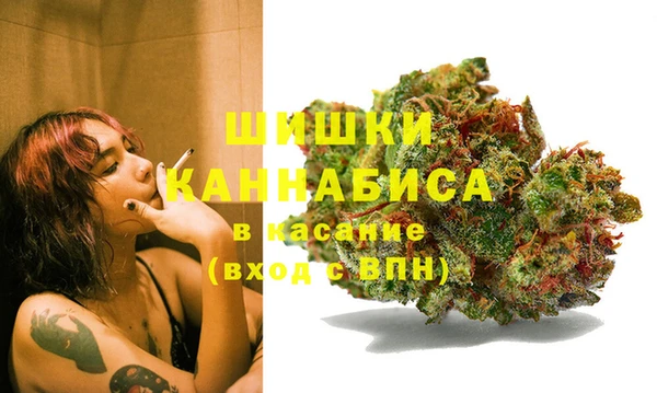 гидропоника Зеленокумск