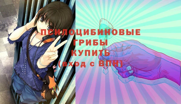 гидропоника Зеленокумск