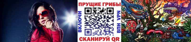 Псилоцибиновые грибы мицелий  Купить где  Лихославль 